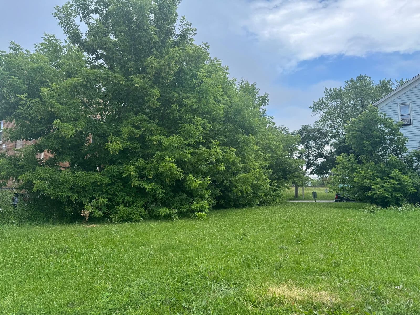 Photo 4 of 425 29th