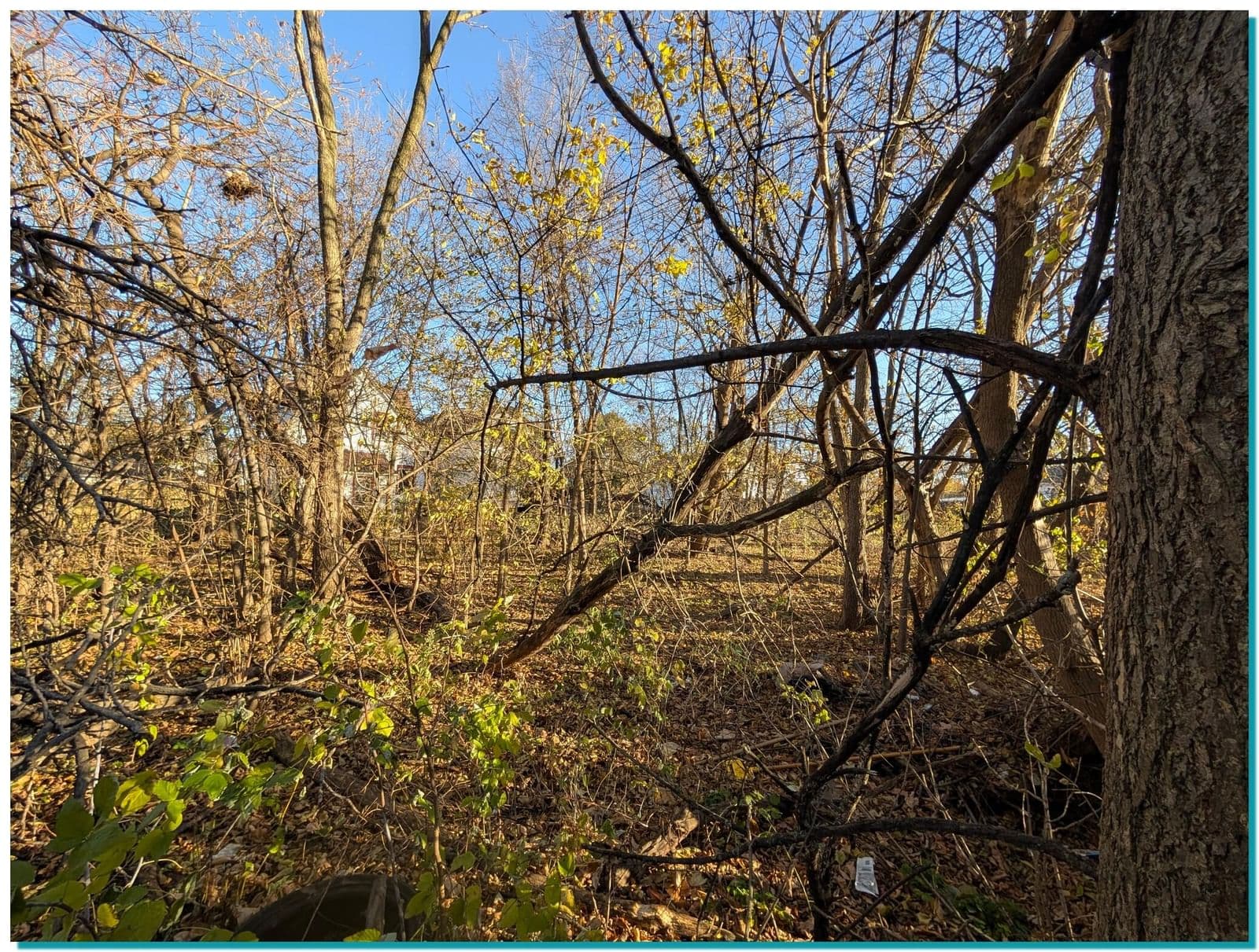 Photo 5 of 2958 10th
