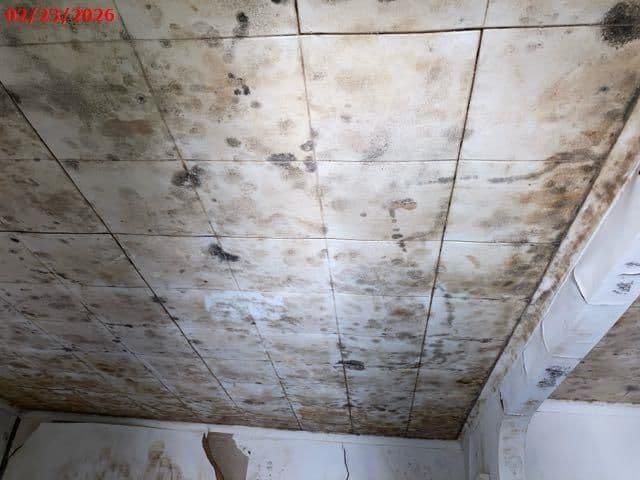 Photo 5 of 3179 14th