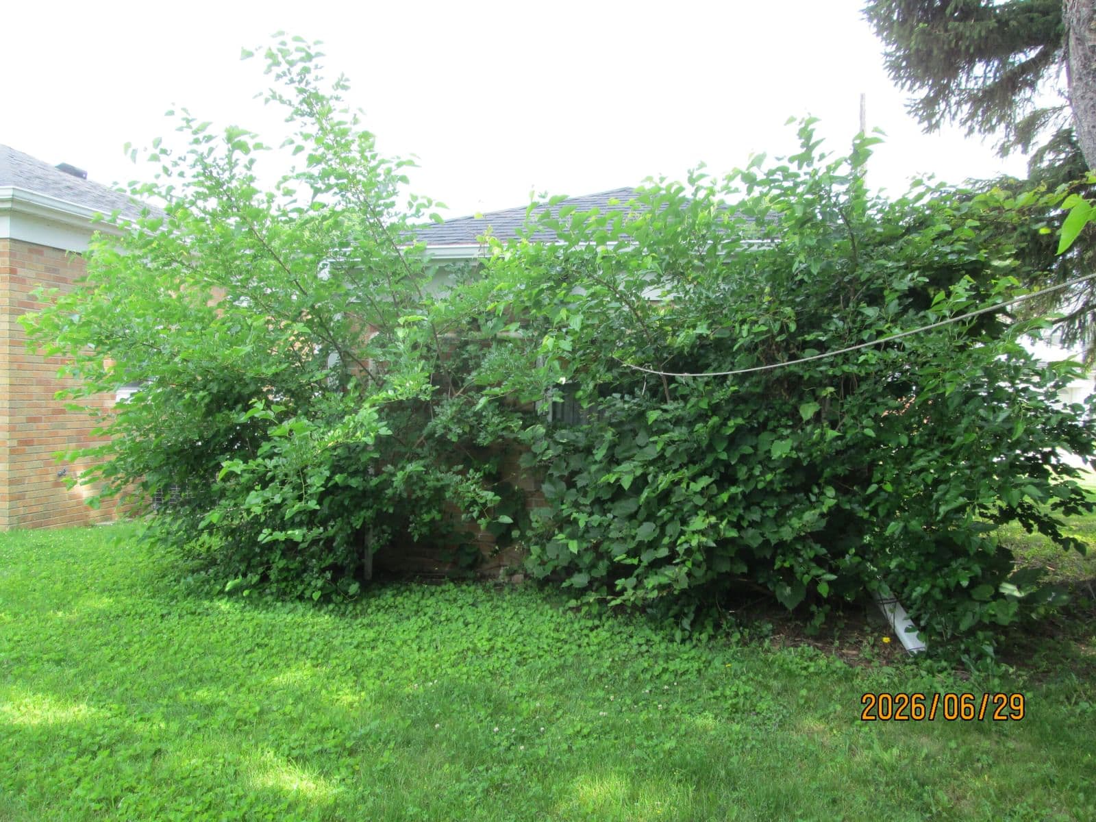 Photo 4 of 3217 Caledonia