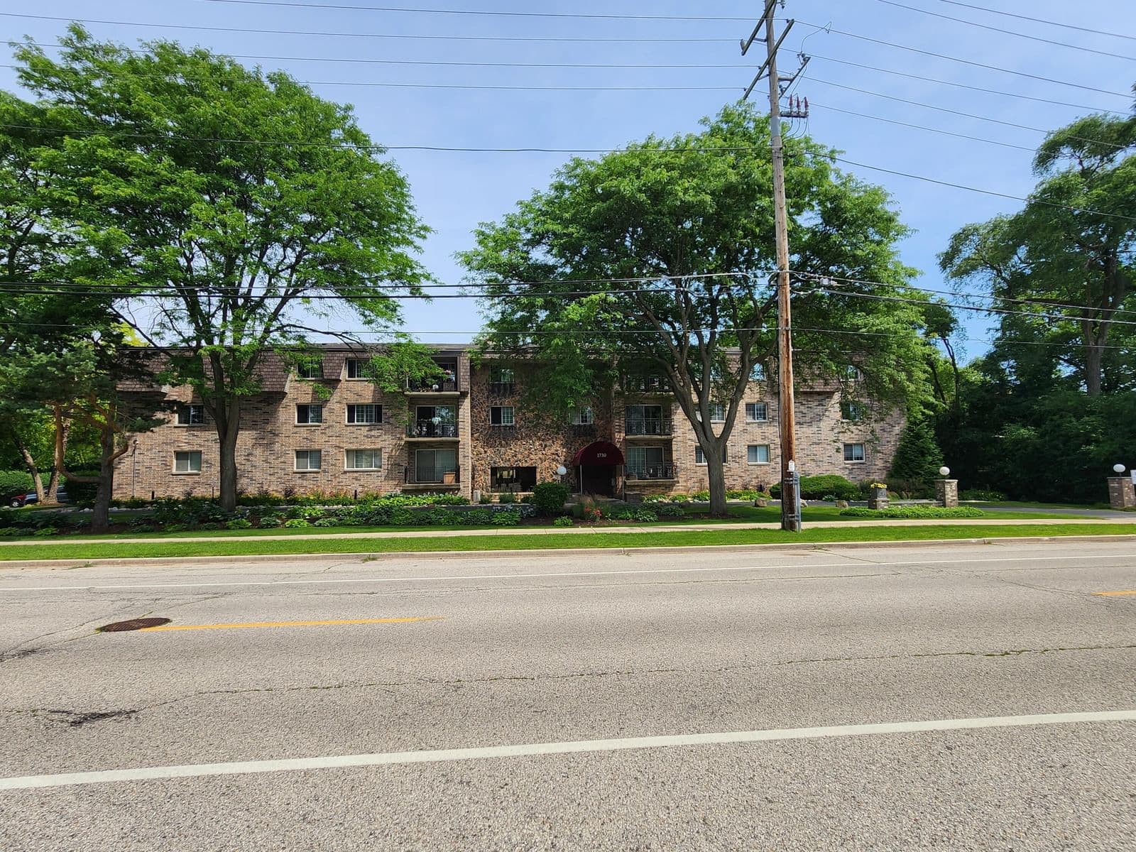 1730 Green Tree