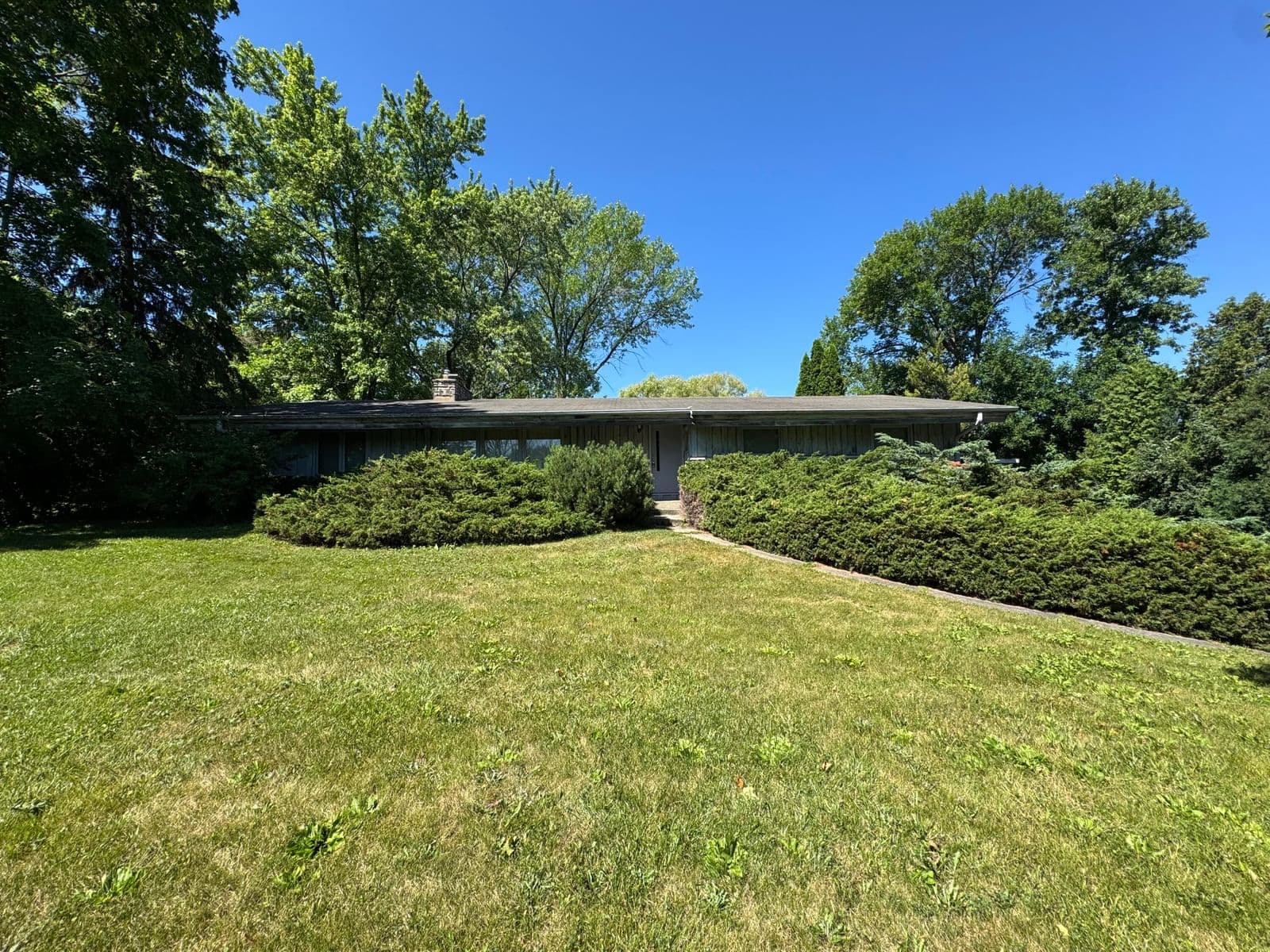 10117 Greenview