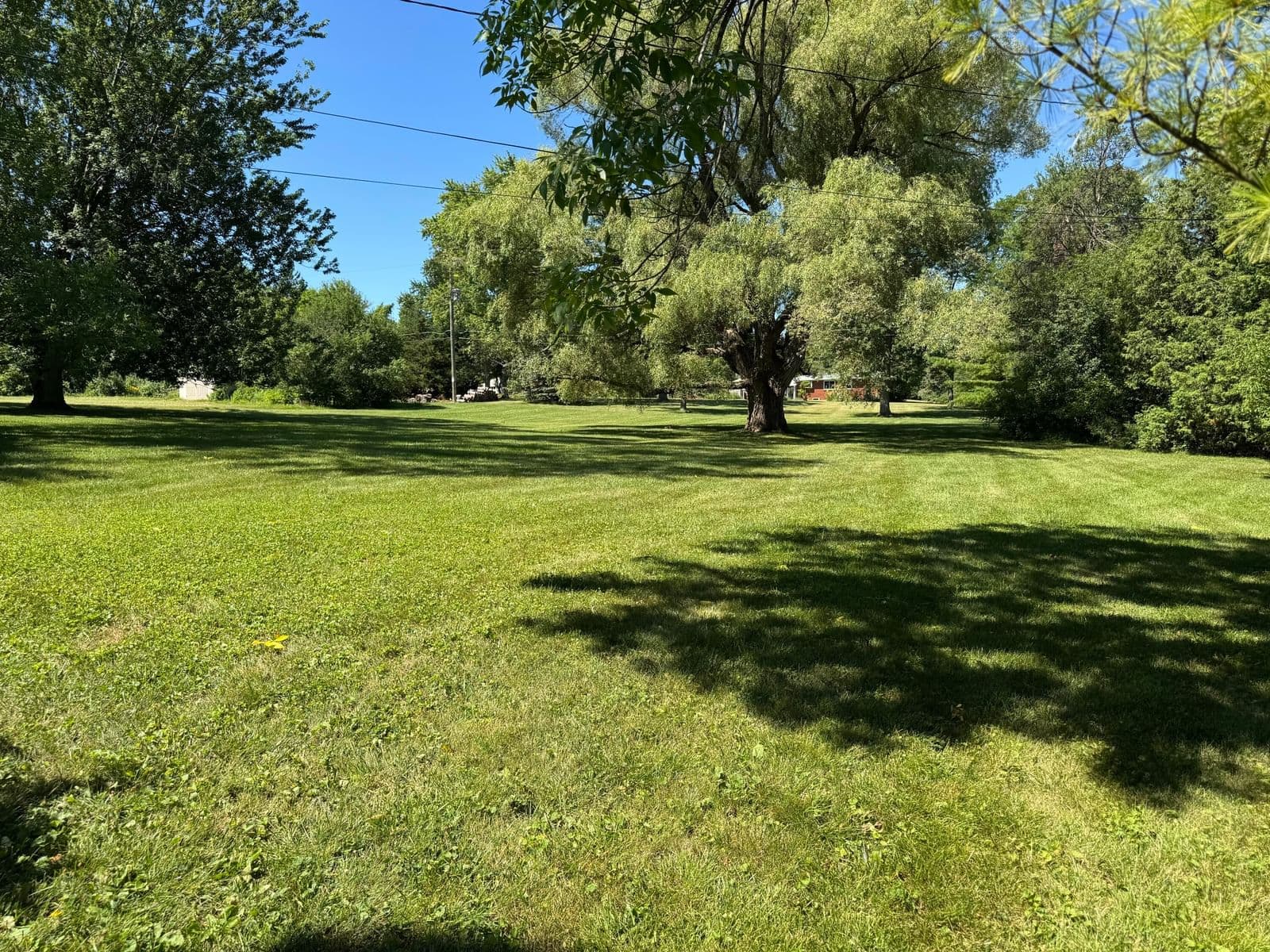 Photo 4 of 10117 Greenview