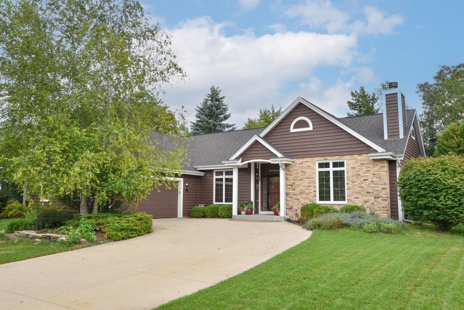 W71N428 Mulberry
