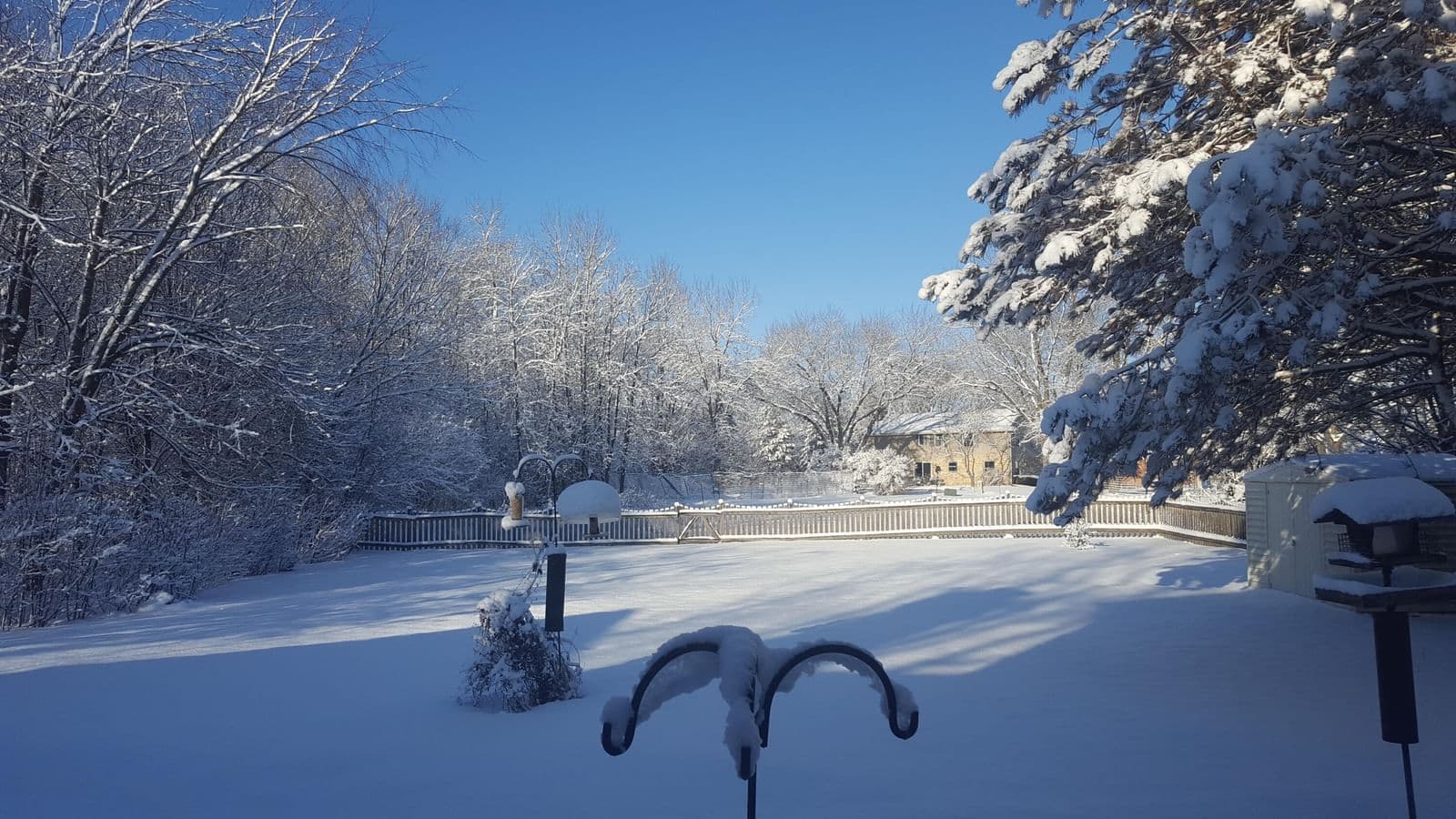 Photo 4 of 12525 Woodland