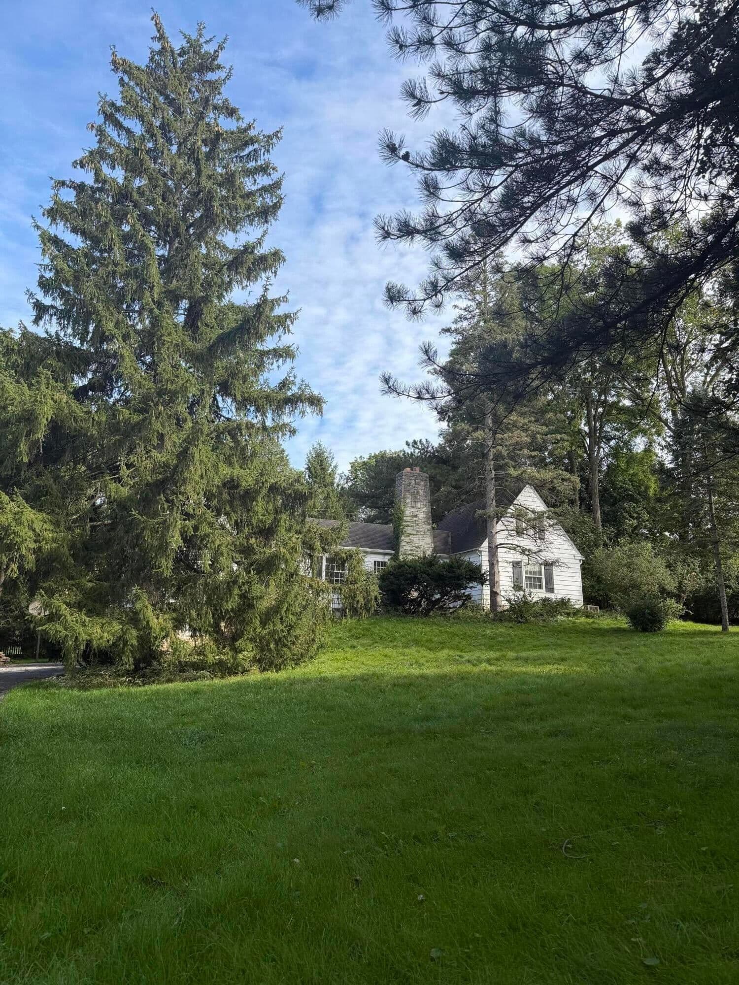 Photo 4 of 1030 Terrace Dr