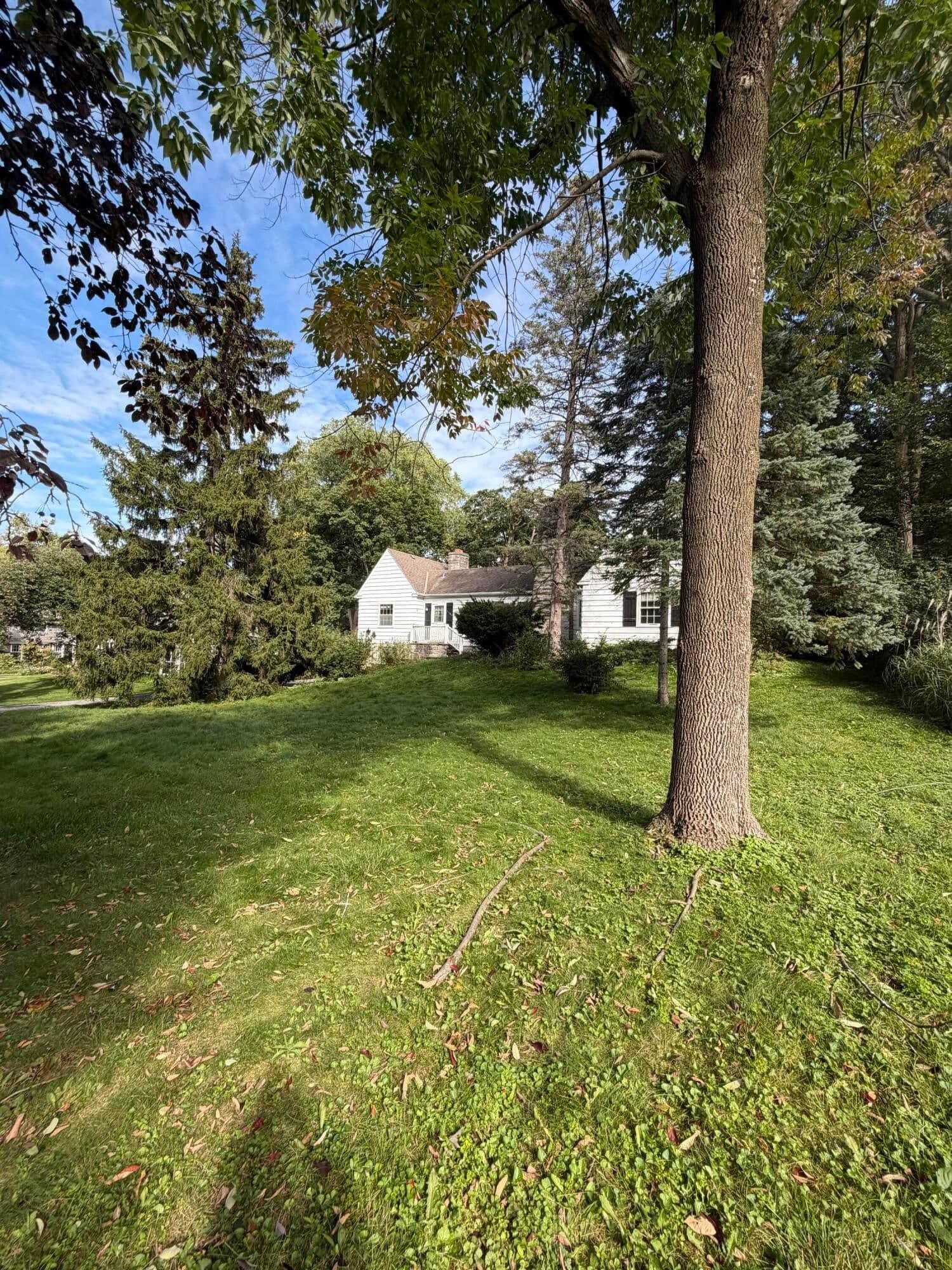 Photo 5 of 1030 Terrace Dr