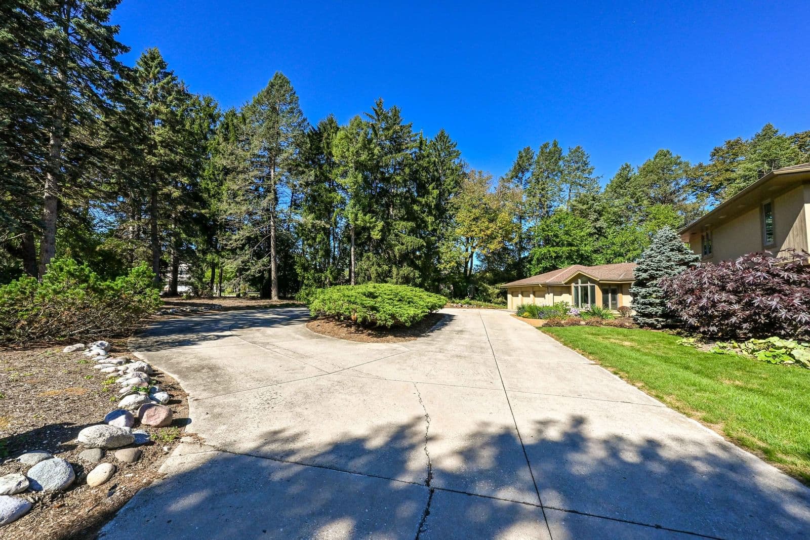 Photo 4 of 1956 Windsor Cir