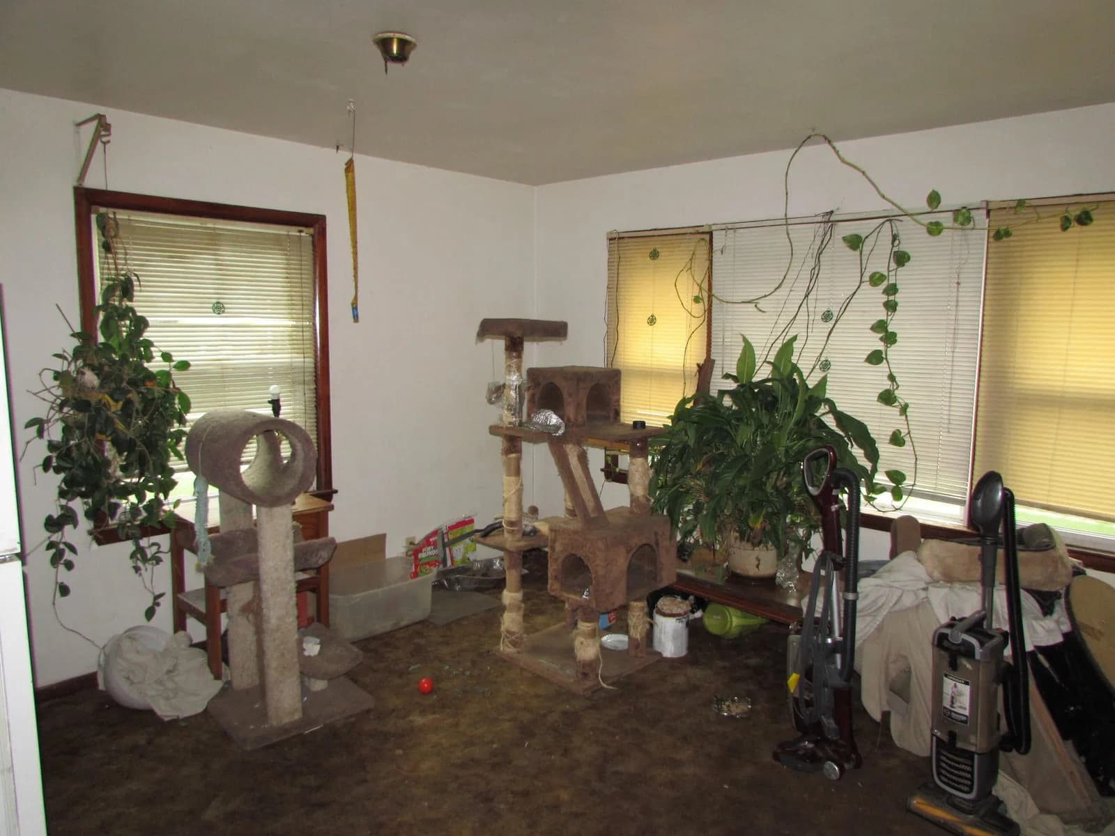 Photo 5 of 5700 Custer Ave