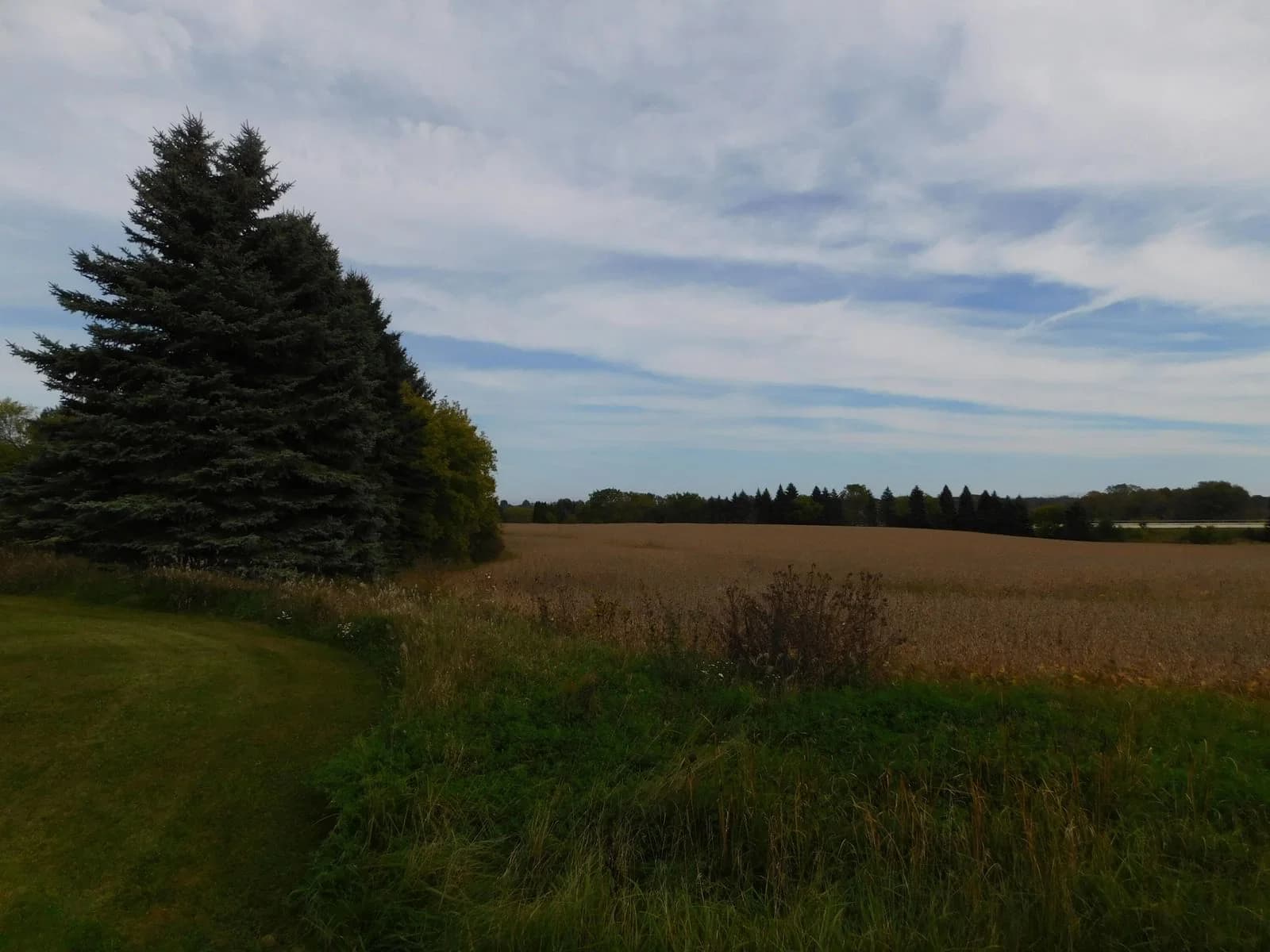 Lt0 County Road LL -