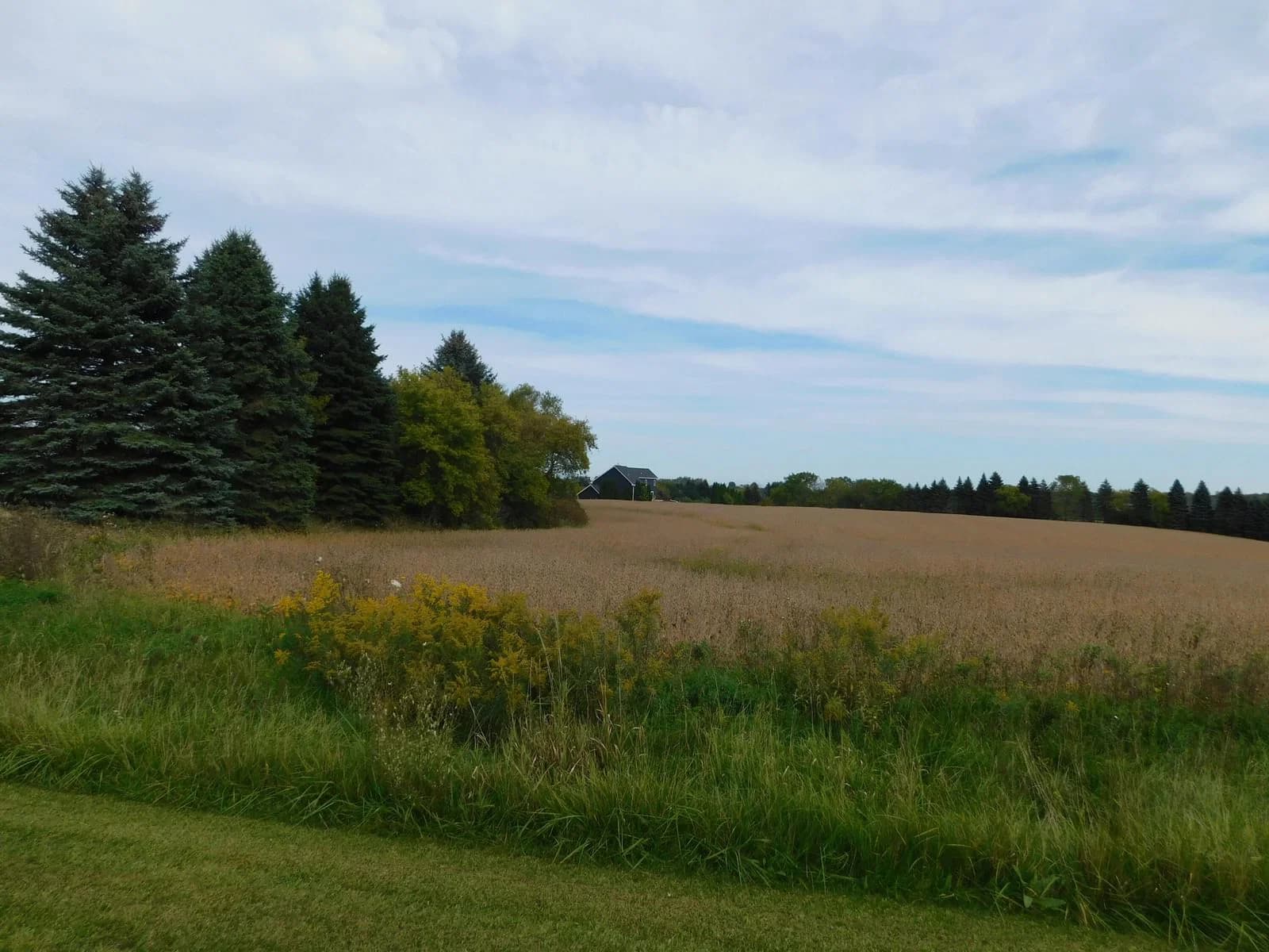 Lt0 County Road LL -