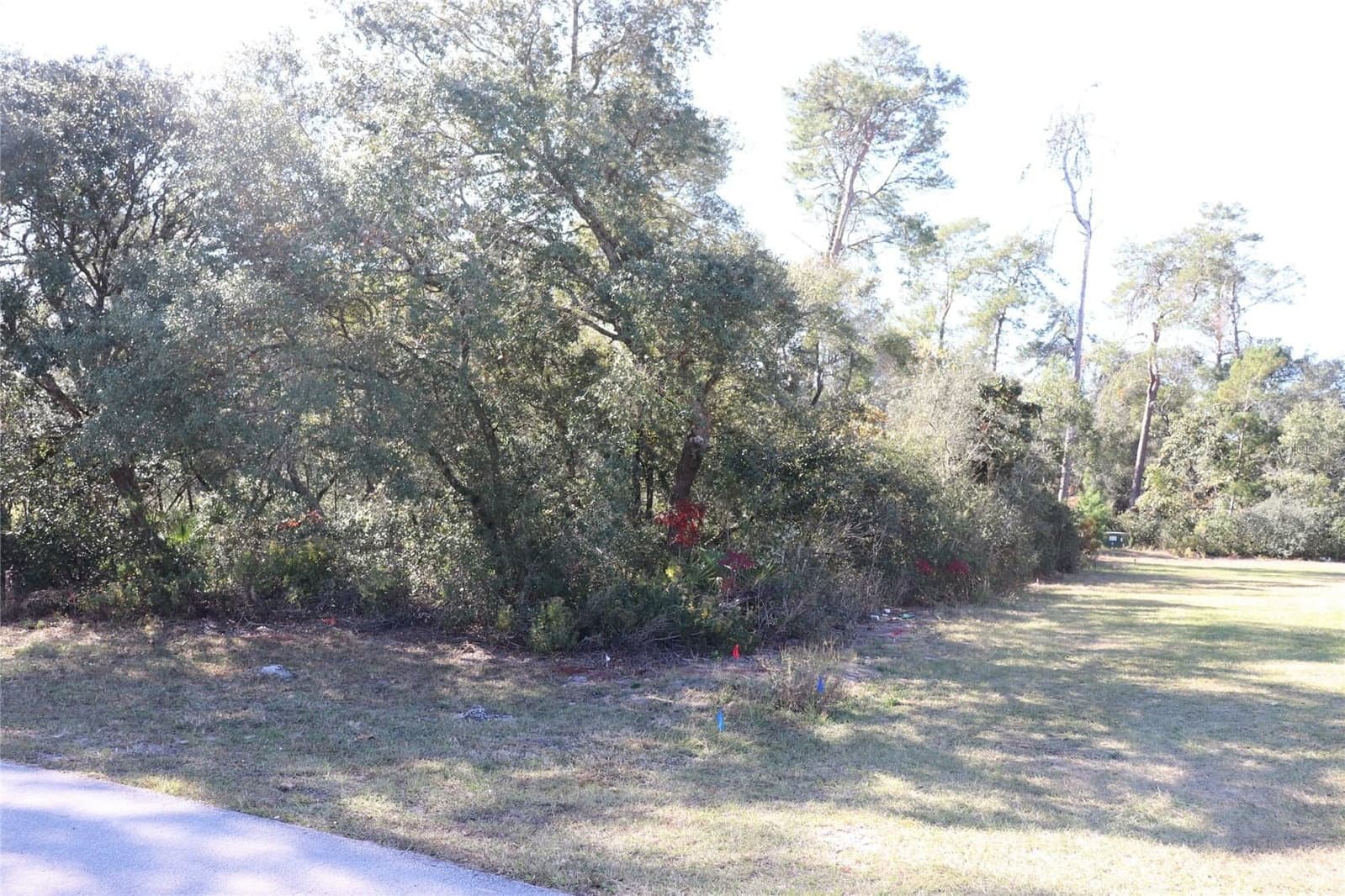 Photo 4 of TBD 157TH STREET
