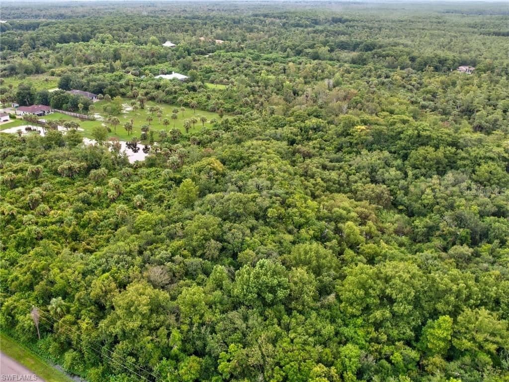 Photo 4 of SHADY HOLLOW