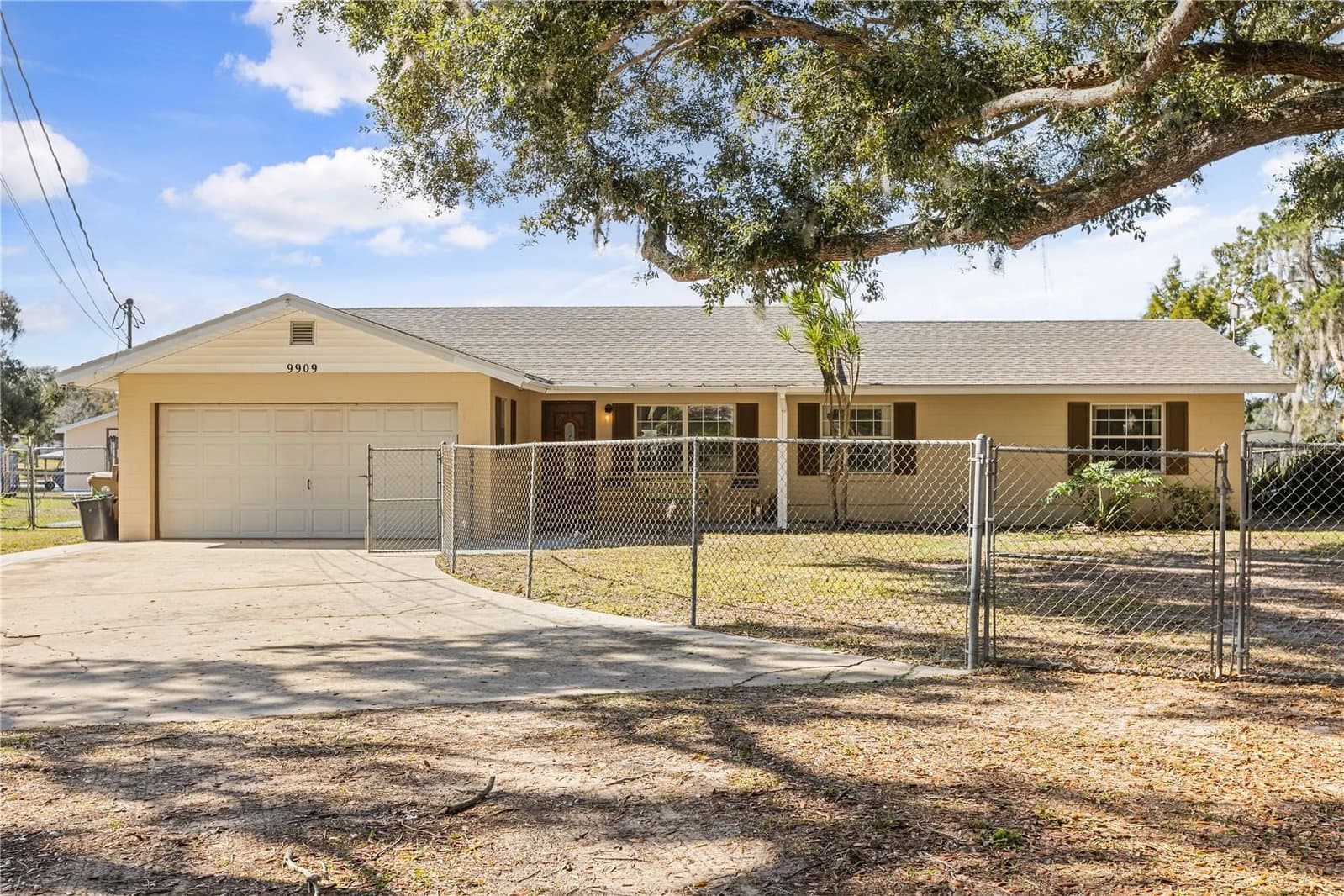 9909 JACARANDA