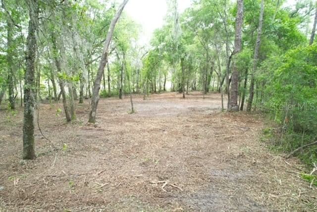 LOCUST RUN