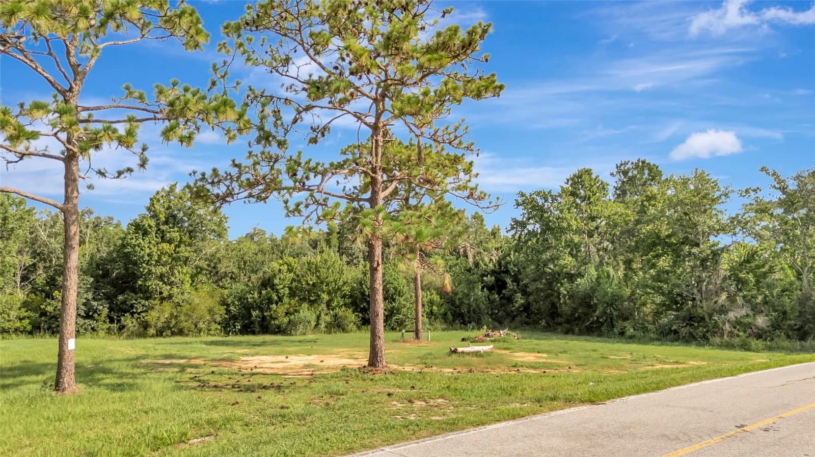 Photo 4 of 4541 COUNTY ROAD 561