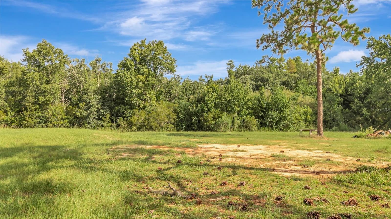 Photo 5 of 4541 COUNTY ROAD 561