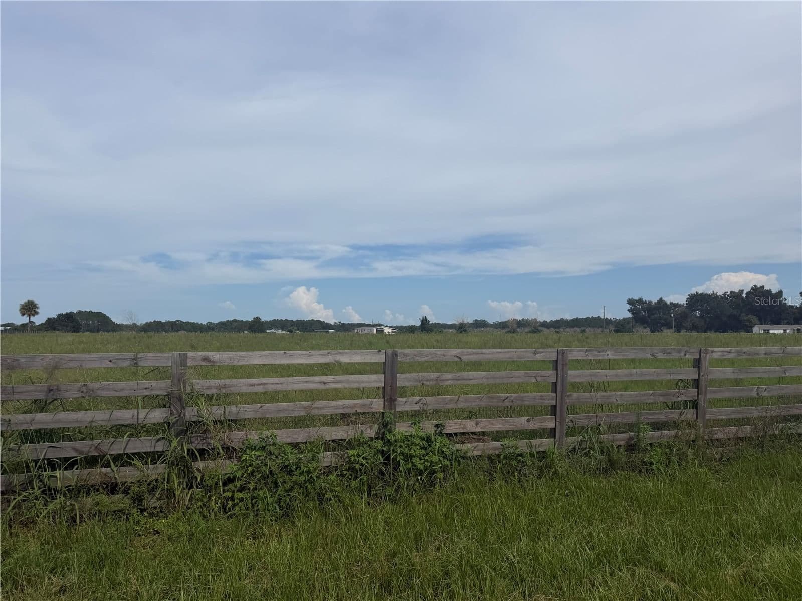 COUNTY ROAD 561