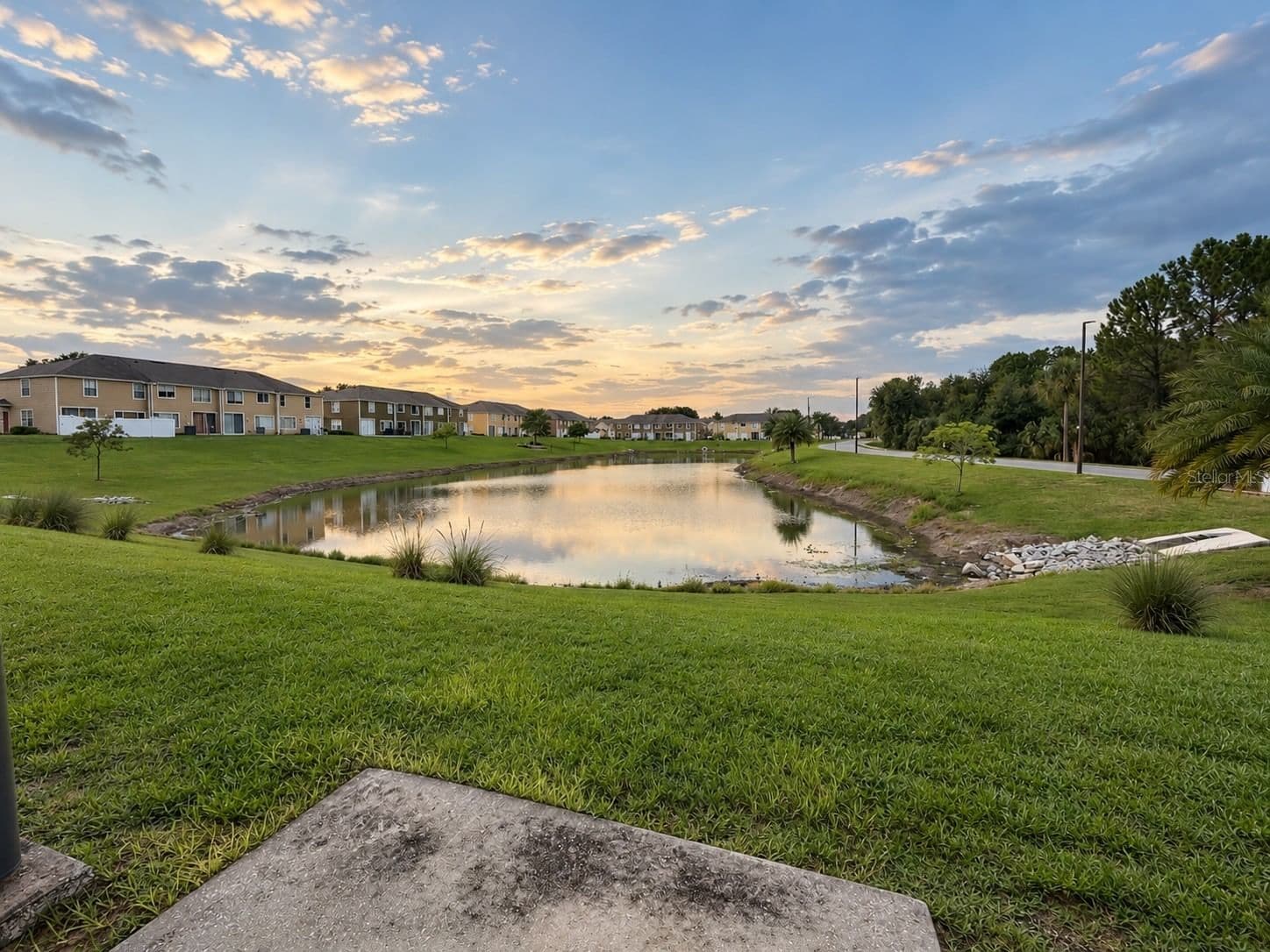 121 WASHINGTON PALM Loop