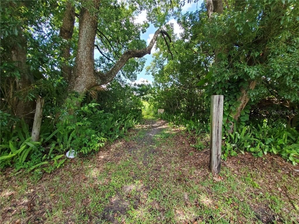WOODLAND
