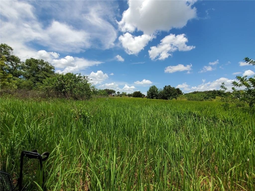 Photo 4 of WOODLAND
