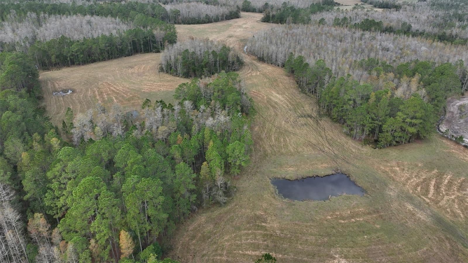 Photo 4 of BERRY GROVES RD