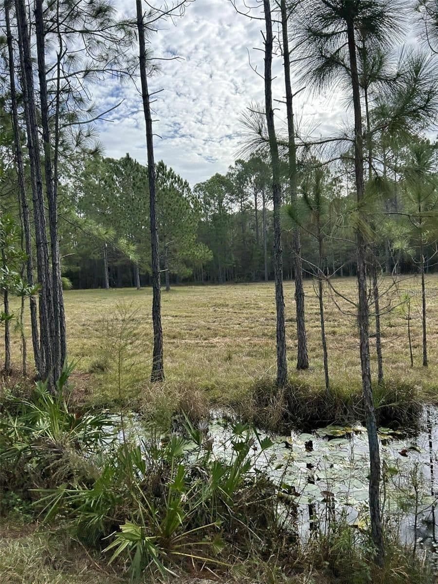 Photo 5 of BERRY GROVES RD