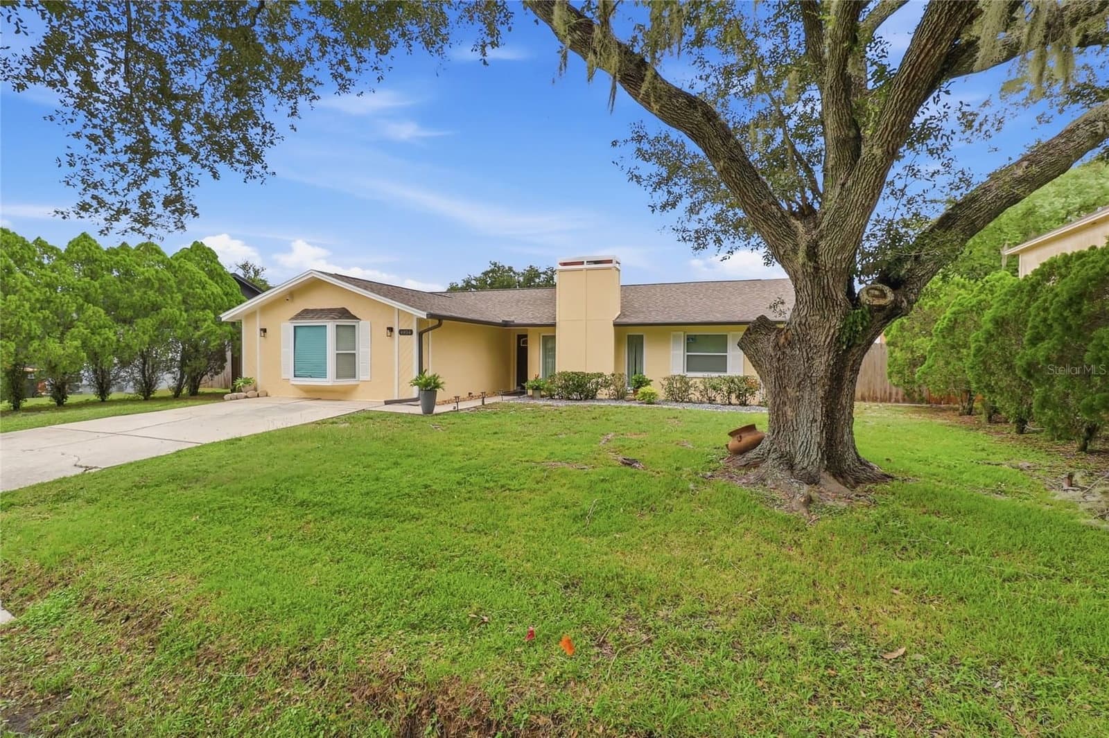 4934 WILDFLOWER