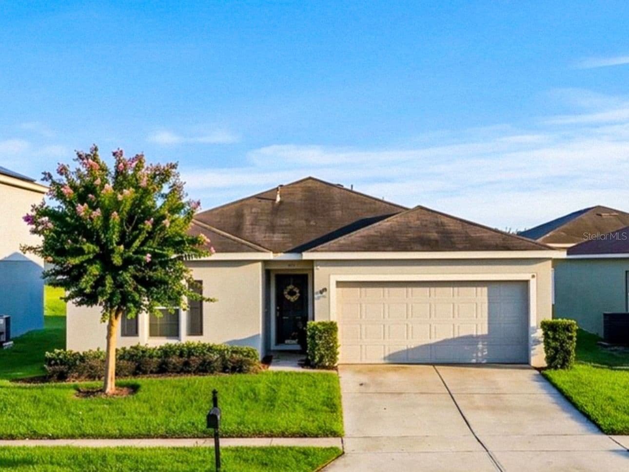 256 OLEANDER