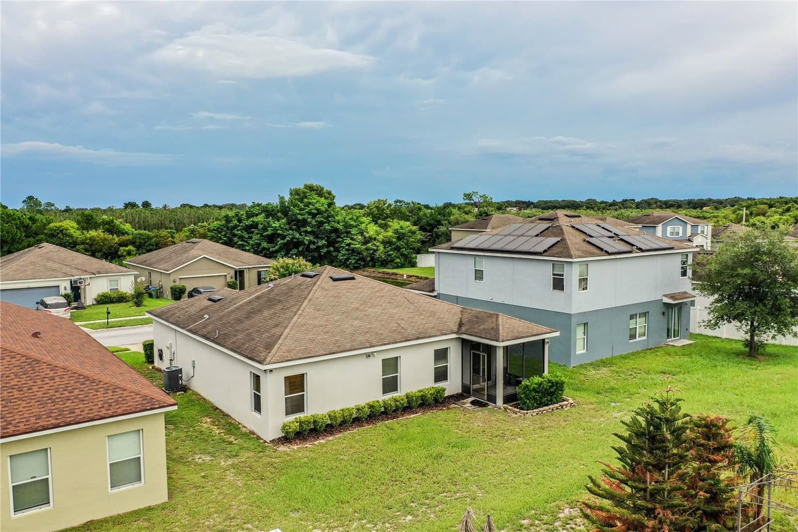 256 OLEANDER