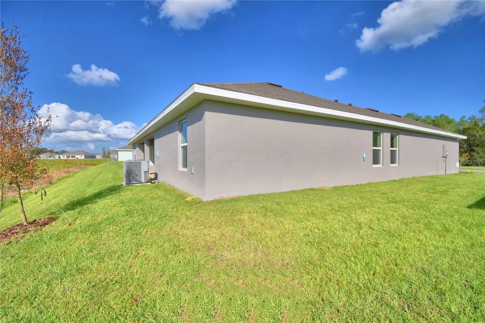 Photo 5 of 4645 CALAMINT Lane