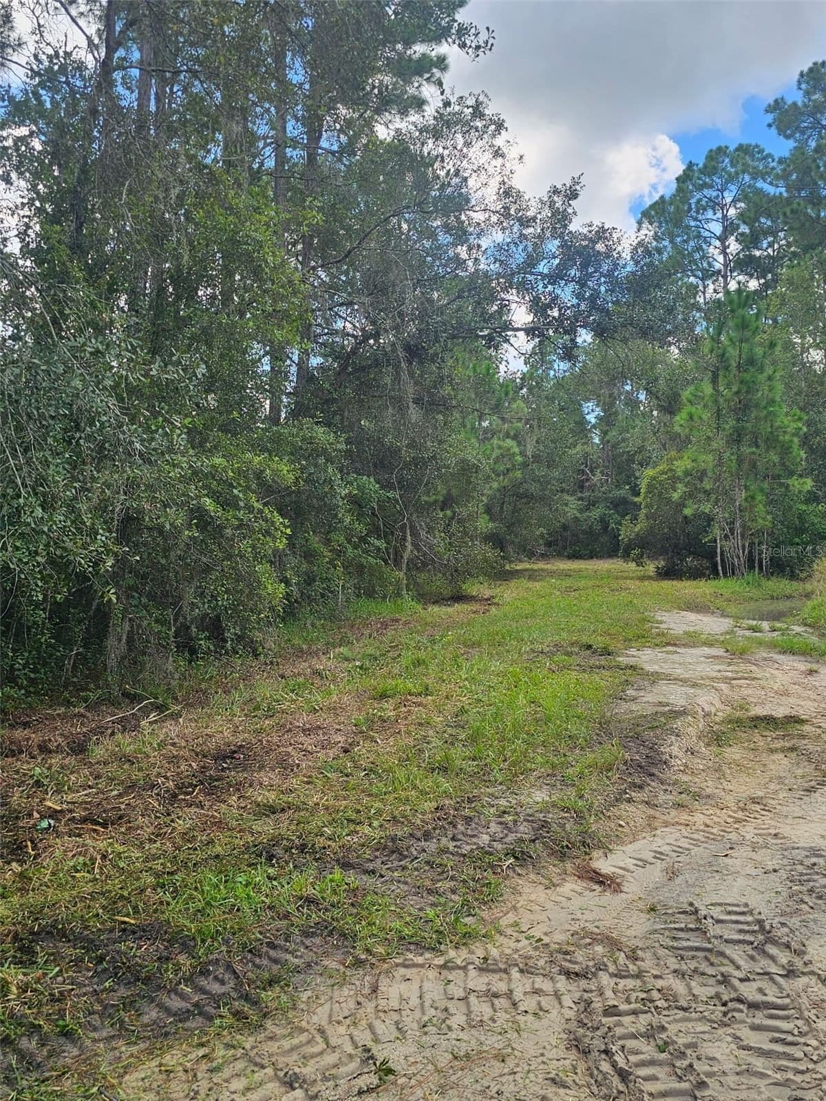 1746 COUNTRY WOODS Drive