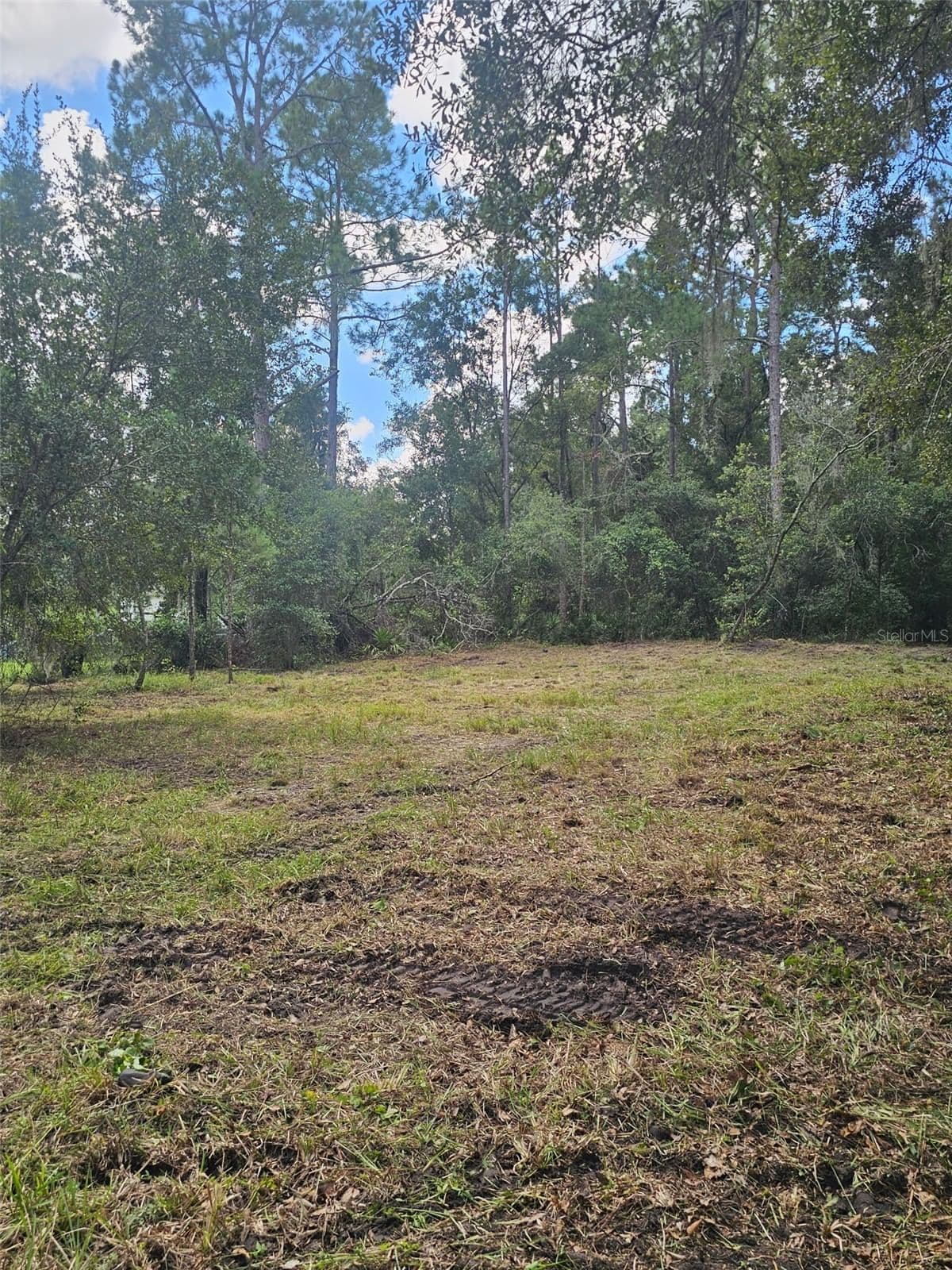 1746 COUNTRY WOODS Drive