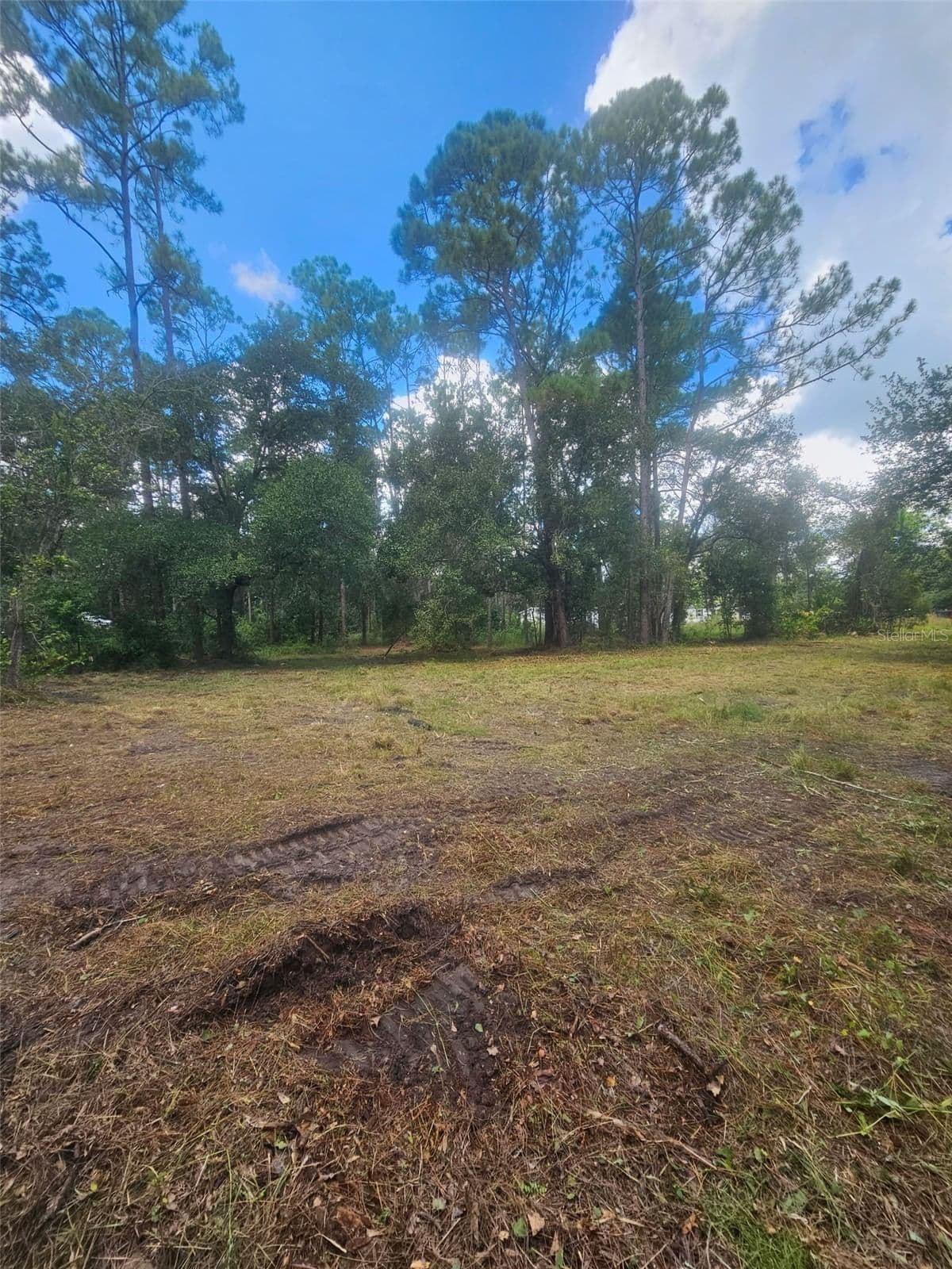 1746 COUNTRY WOODS Drive