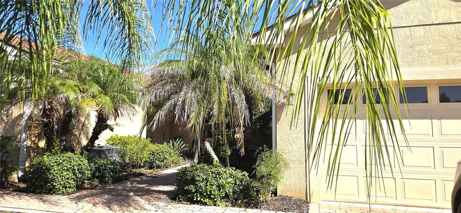 1631 LINZ Court