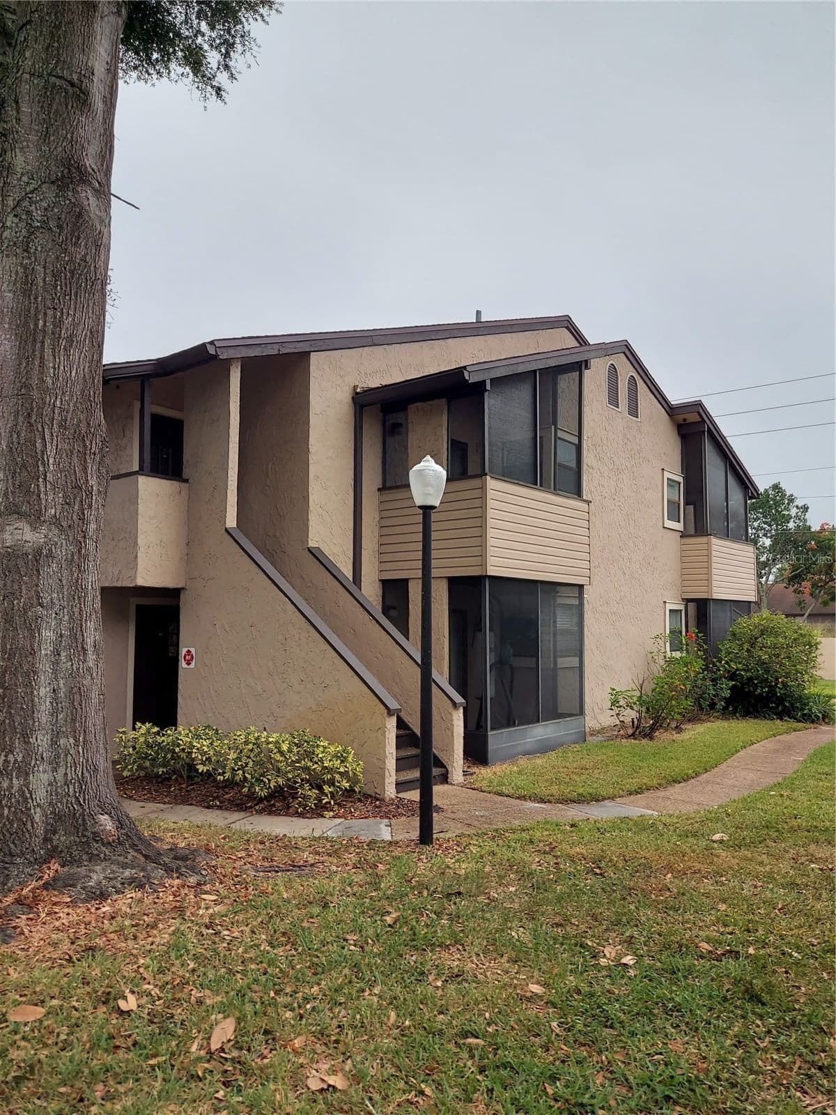 3038 ANTIQUE OAKS