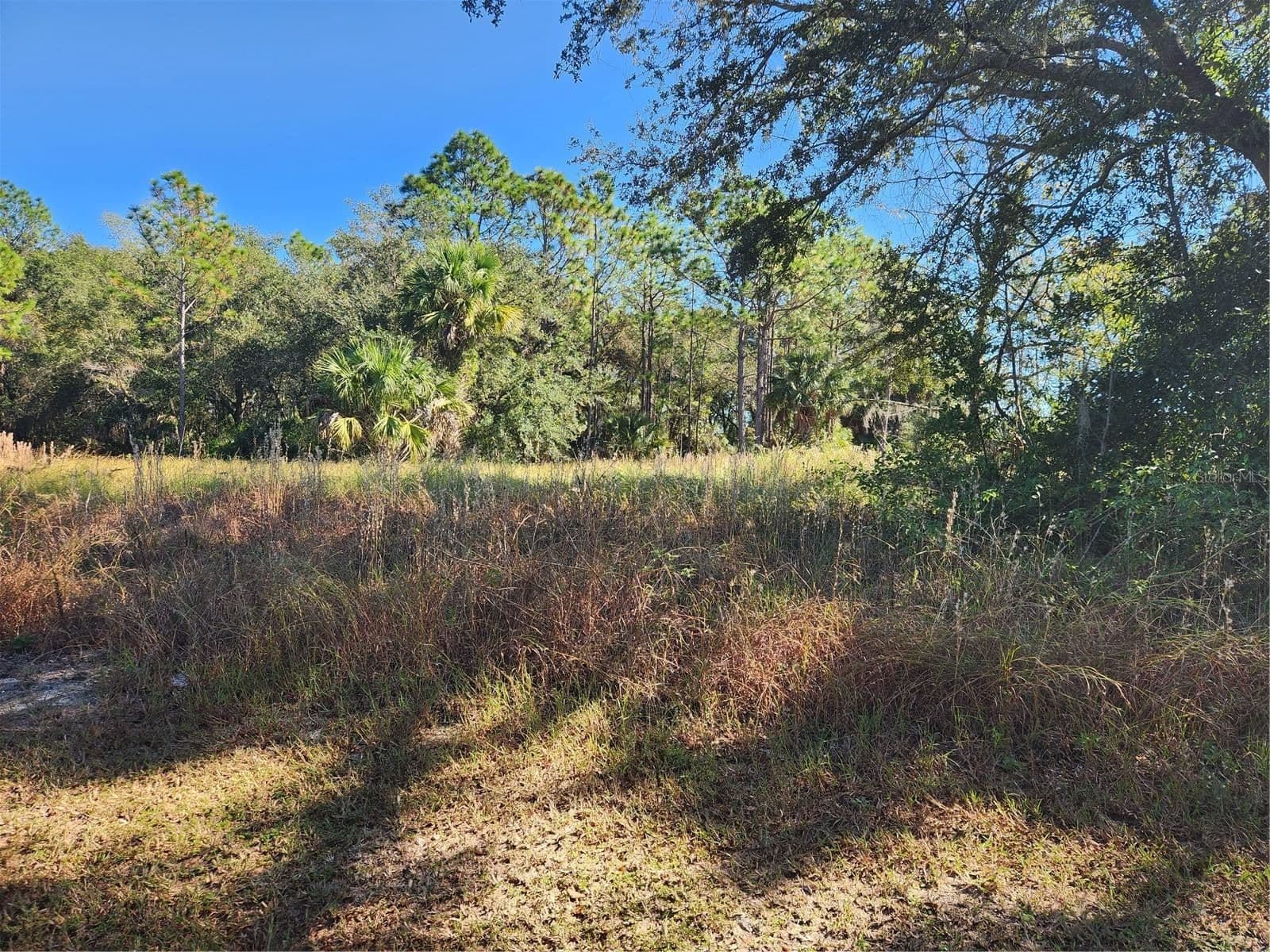 Photo 4 of MARKHAM WOODS