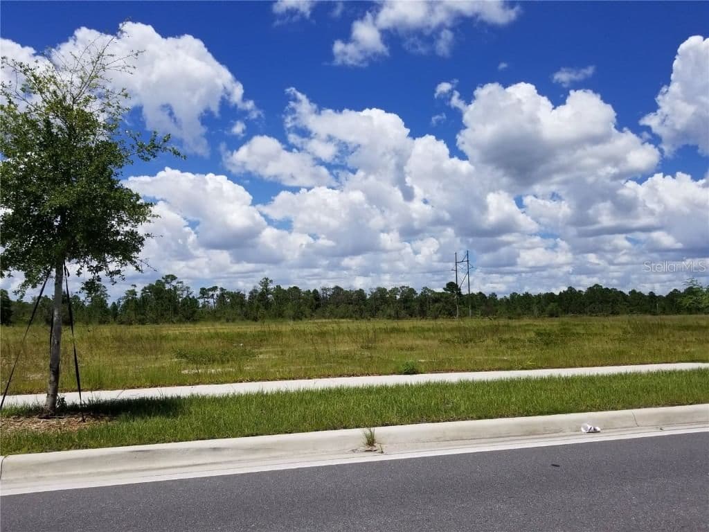 APOPKA VINELAND