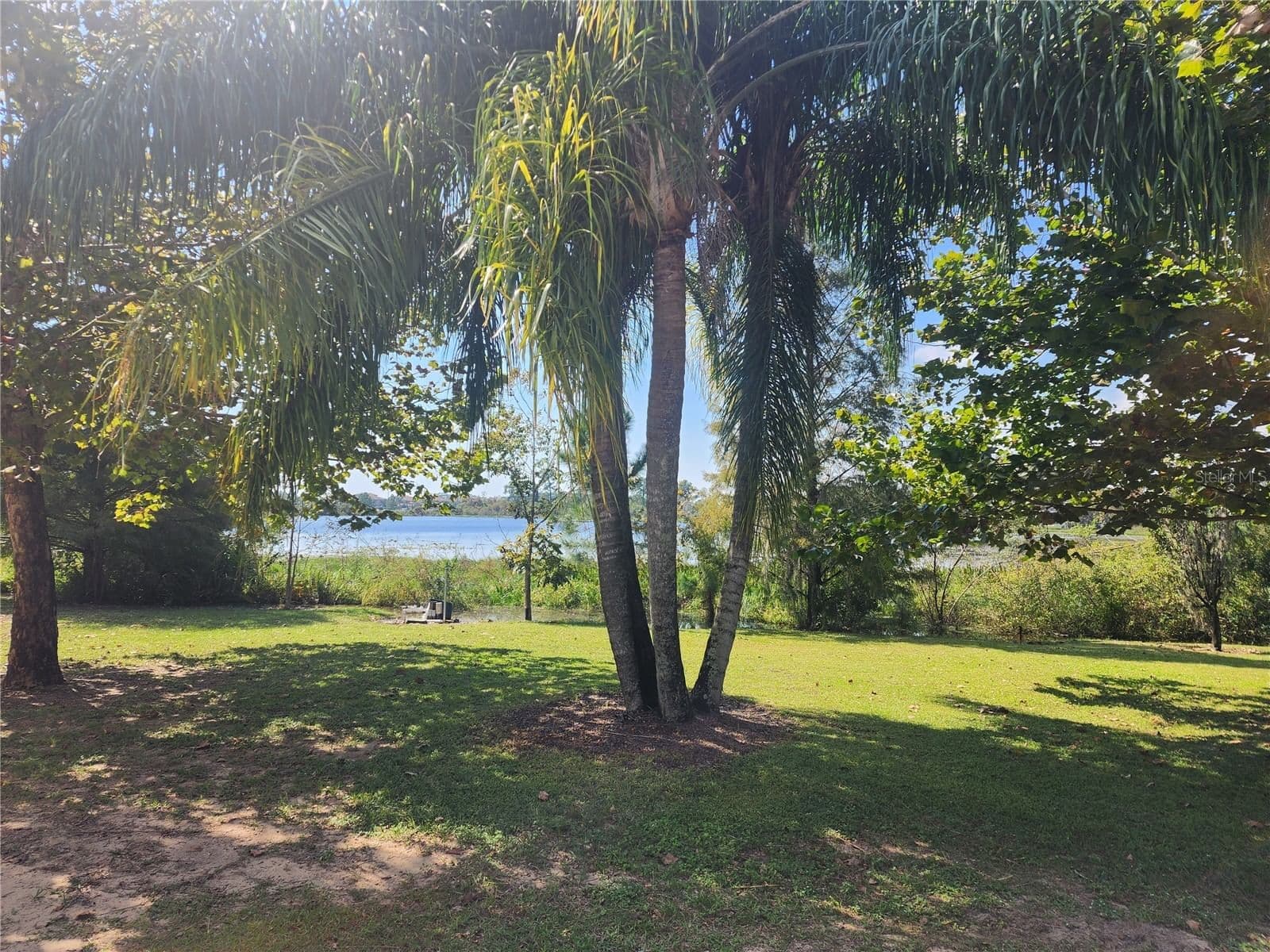 Photo 4 of 14902 ARRENA