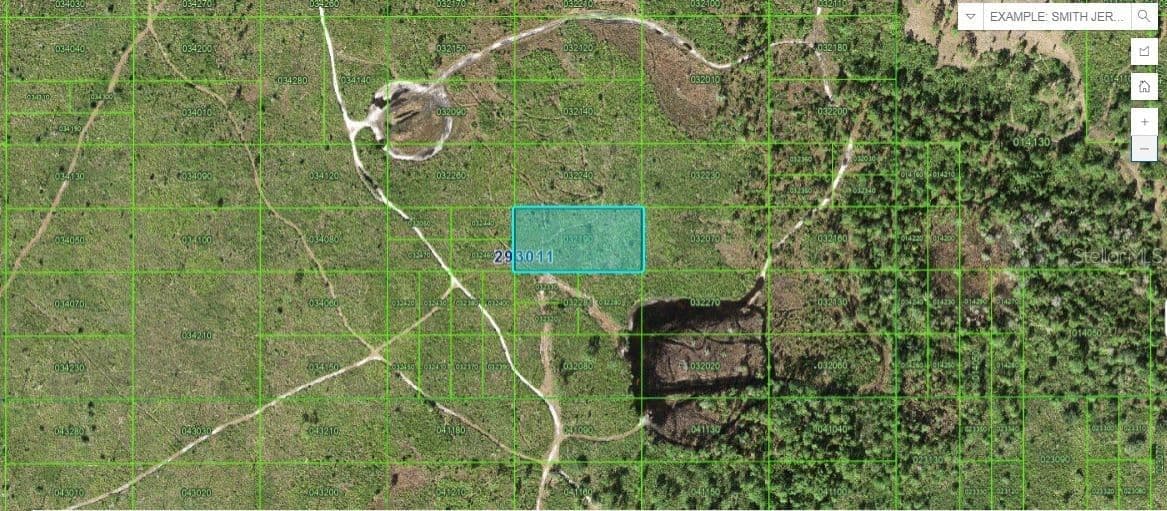 TIGER LAKE