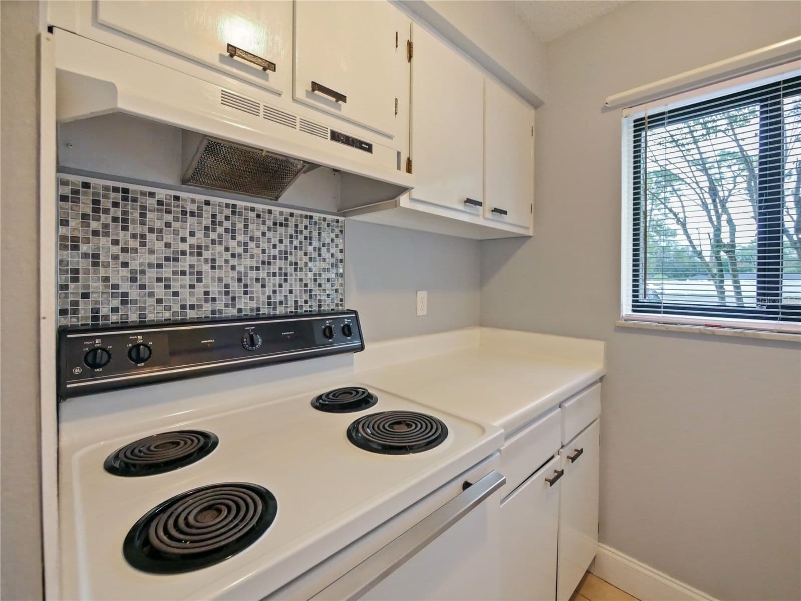 Photo 4 of 127 SPRINGWOOD