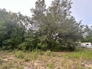 Photo 4 of NW 56TH COURT