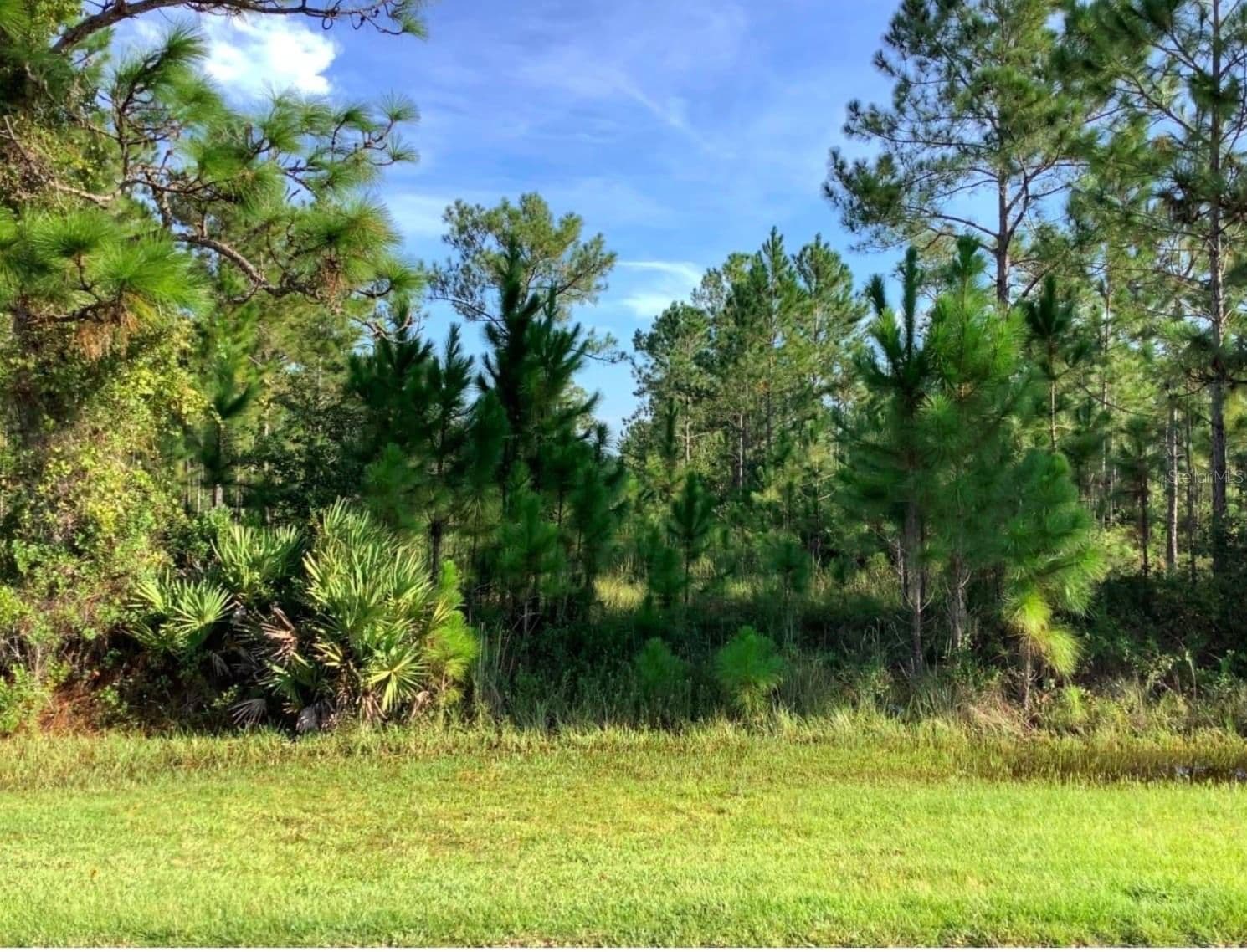 Lot 120 SABAL