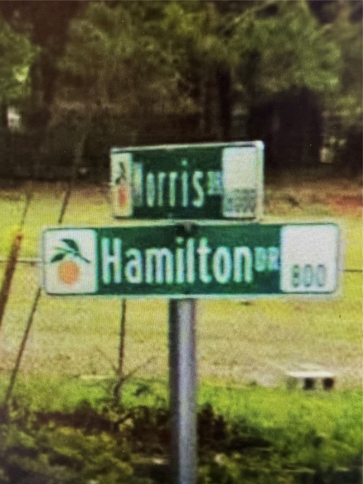 Photo 5 of 522 HAMILTON