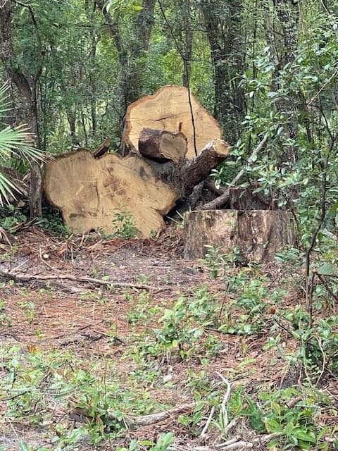 Photo 4 of 2904 CLEBURNE