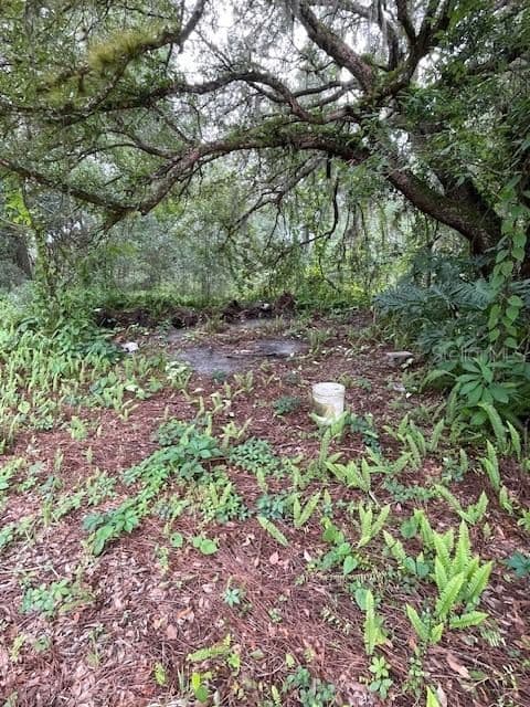 Photo 5 of 2904 CLEBURNE