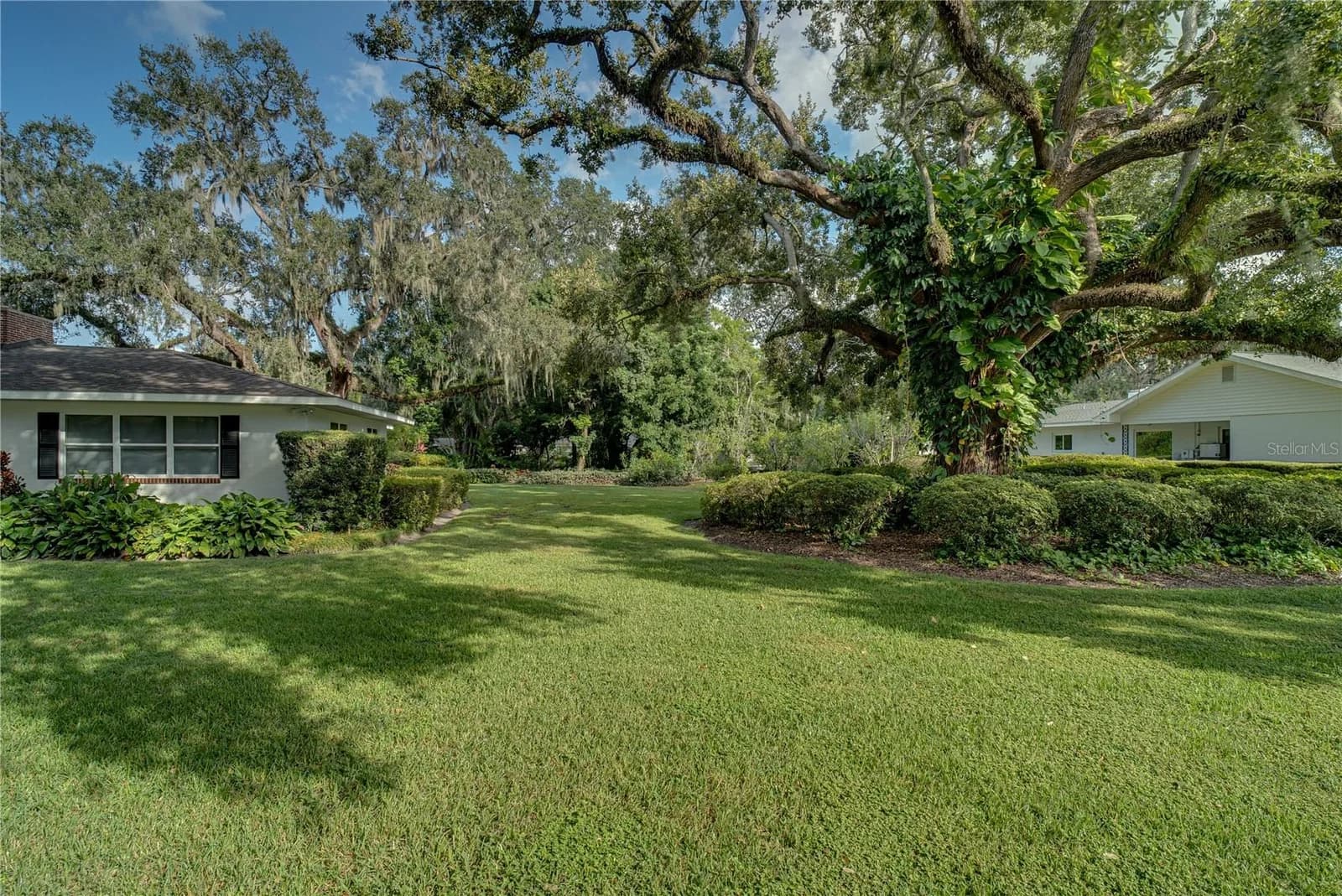 241 DILLARD Street