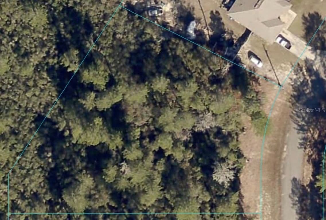 Photo 4 of MARION OAK