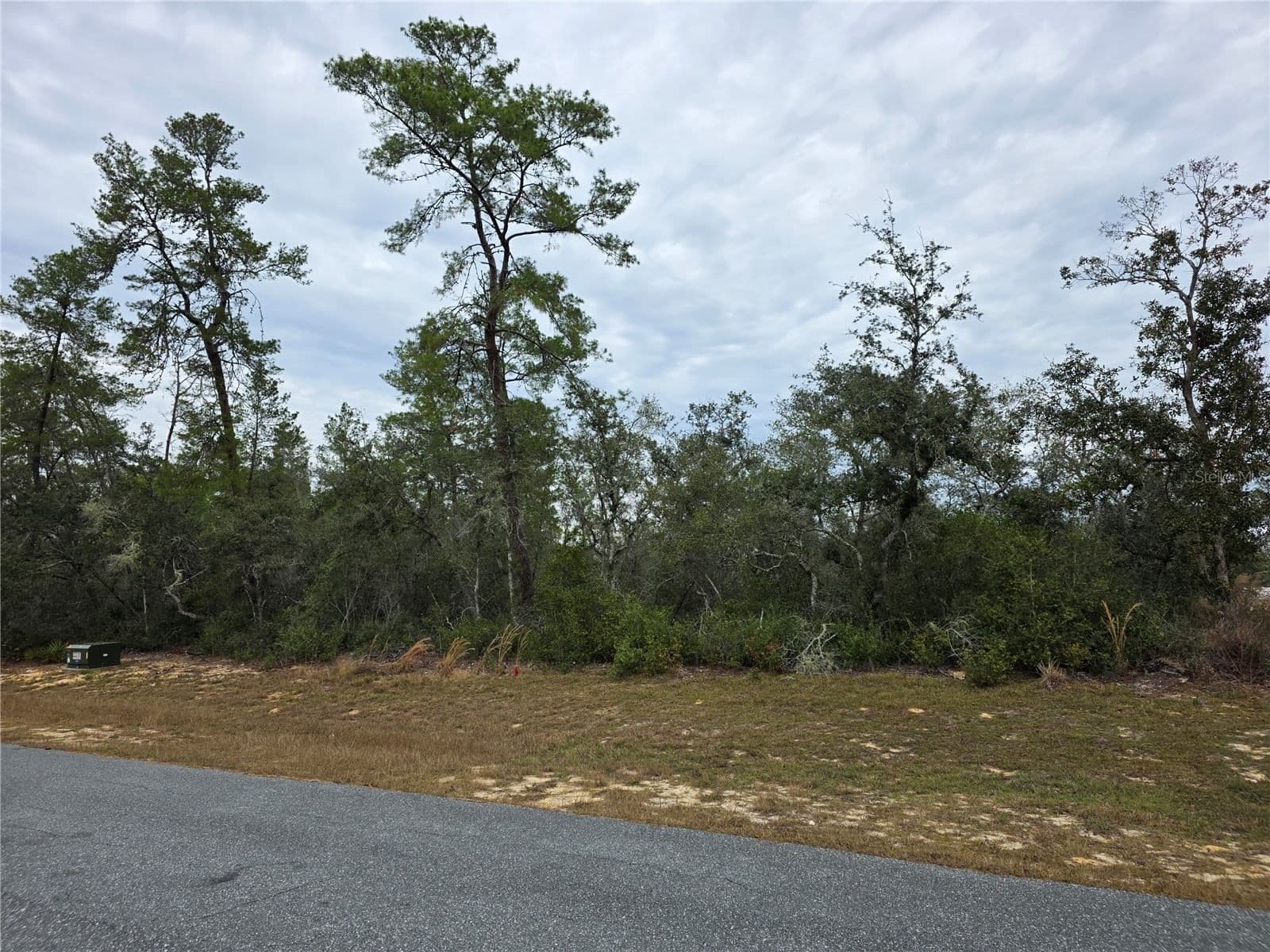 Photo 4 of 165 STREET