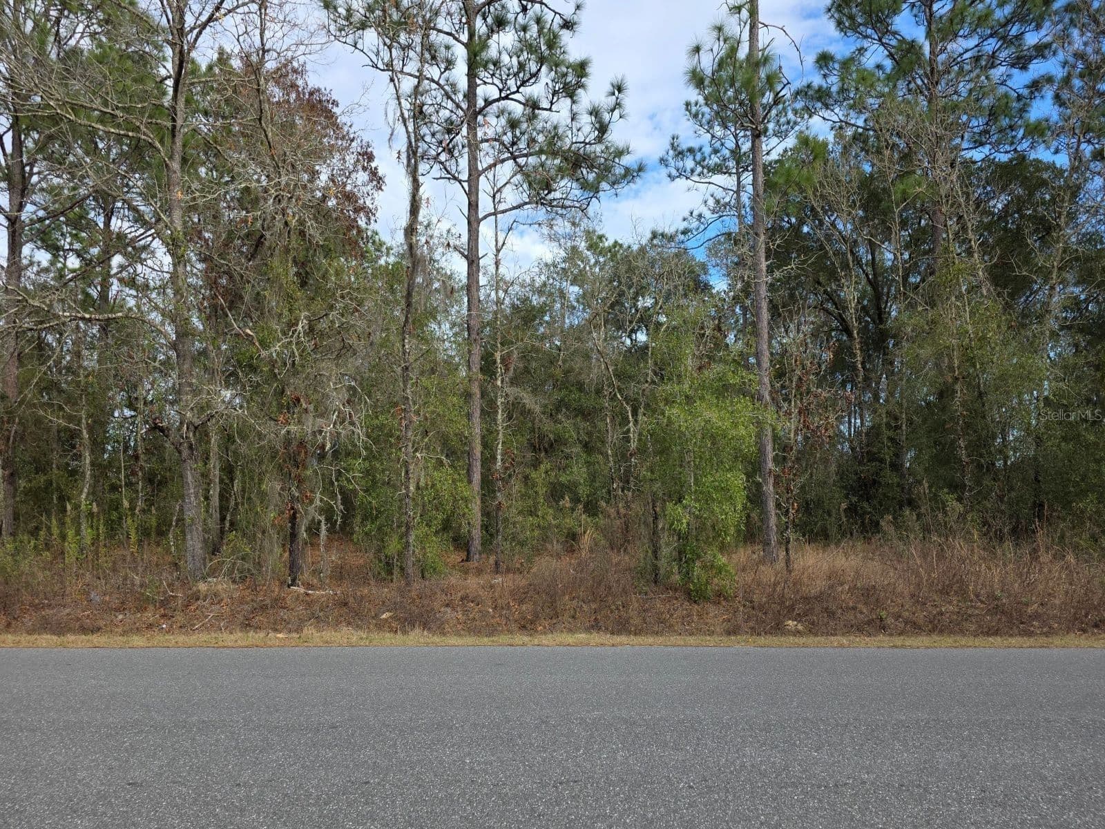 Photo 5 of 140TH